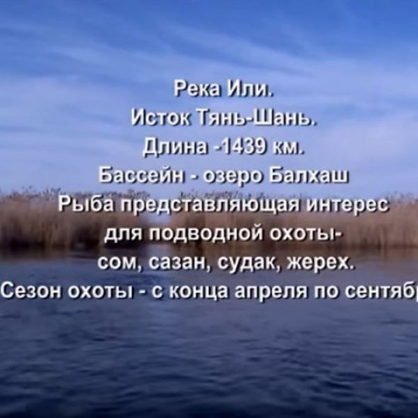 Охота на сома, А.Кочубей. Подводные ружья "Каюк"