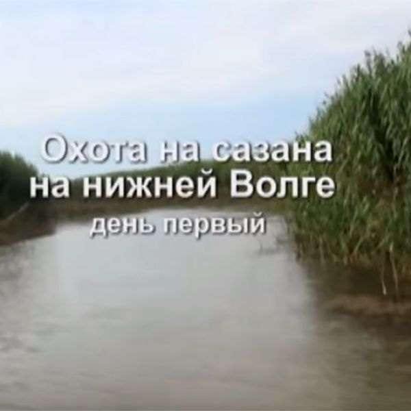 Охота на сазана на нижней Волге, А.Кочубей. Подводные ружья "Каюк"