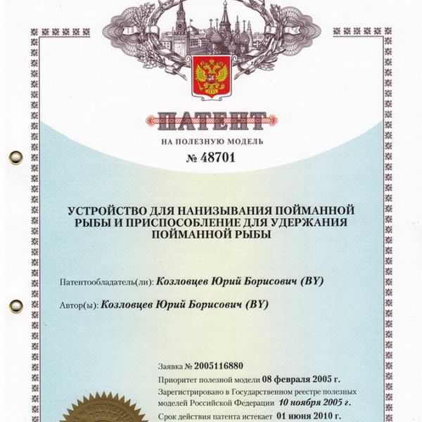 ПАТЕНТ НА ПОЛЕЗНУЮ МОДЕЛЬ N48701