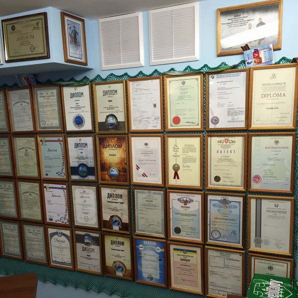 Дипломы